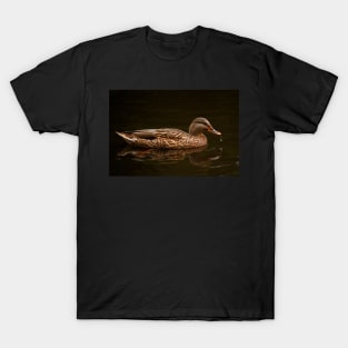 Wet Mallard T-Shirt